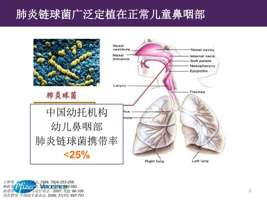 小儿肺炎链球菌感染的危害及预防-文档资料_第3页