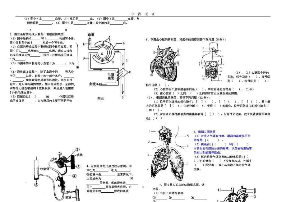 (北师大版)七年级下册生物期末试卷（2020年九月整理）.doc_第5页