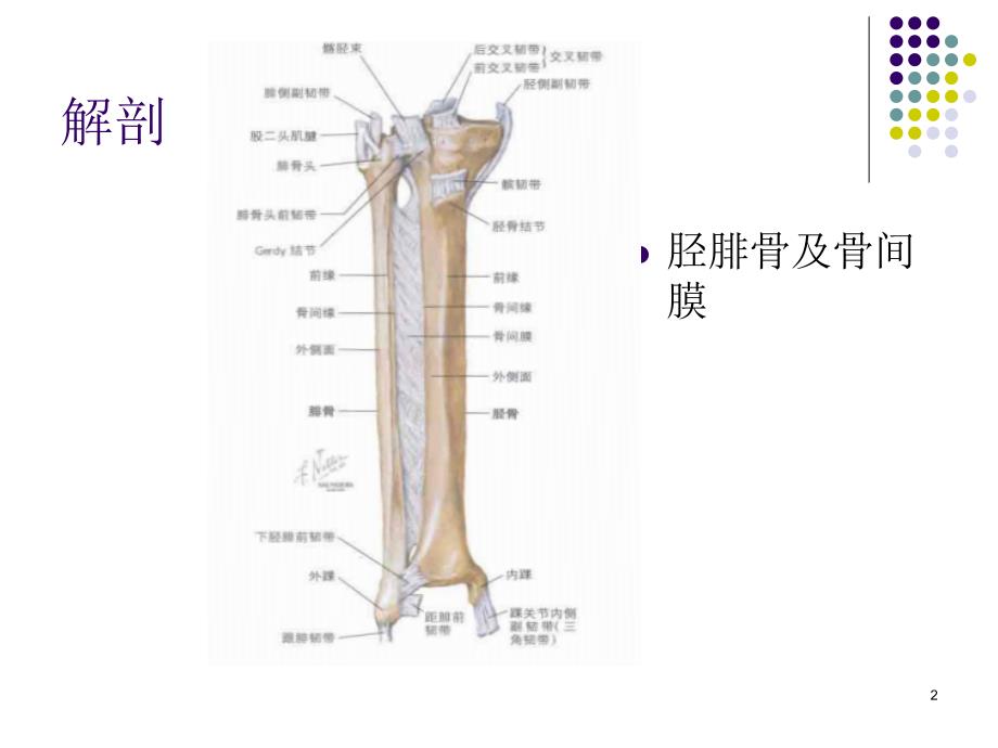 小腿筋膜间室综合征-文档资料_第2页