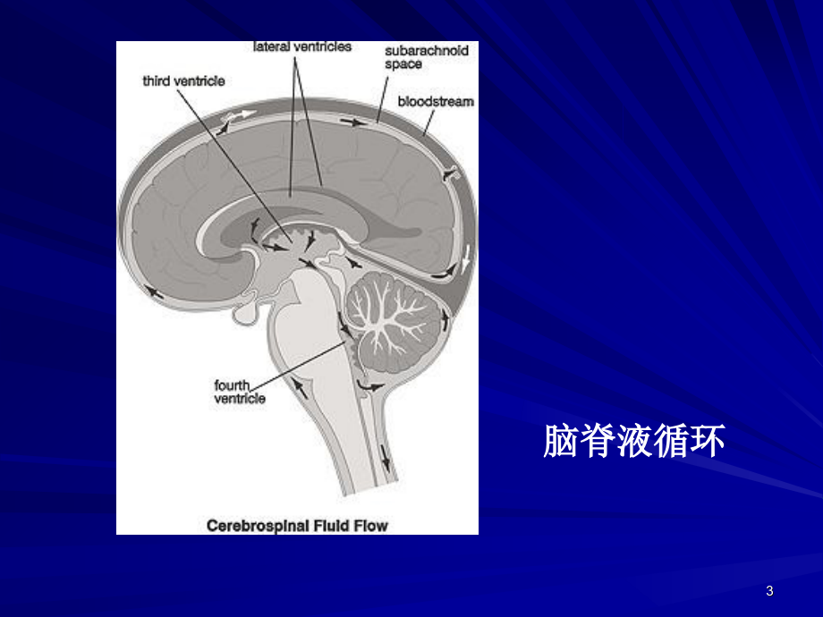 脑脊液检查-文档资料_第3页