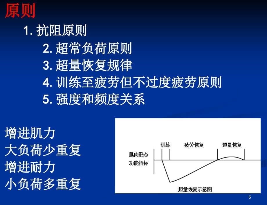 肌力及肌力训练-文档资料_第5页