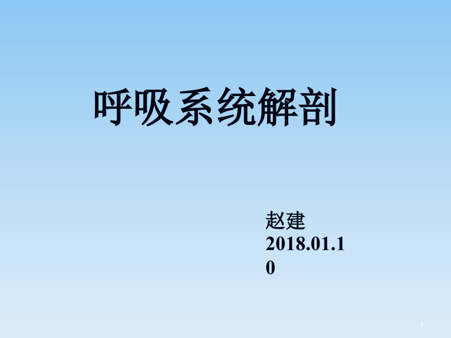 呼吸系统解剖-文档资料_第1页