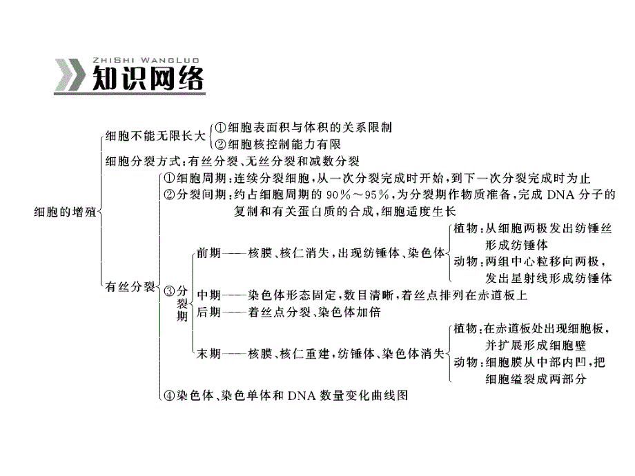 生物课件必修1新课标人教第6章章末整合提升_第2页