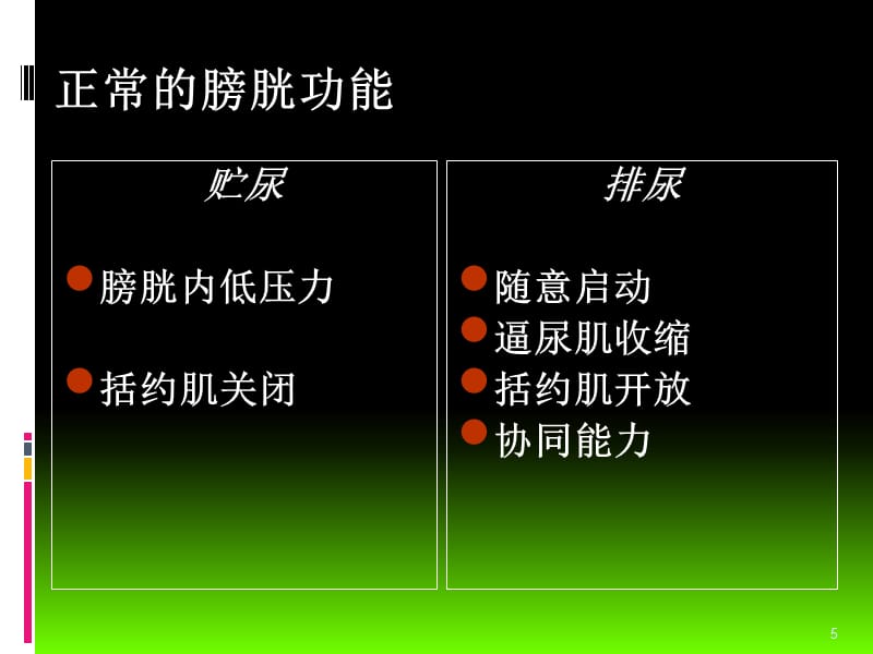 神经源性膀胱康复的进展-(精)-文档资料_第5页