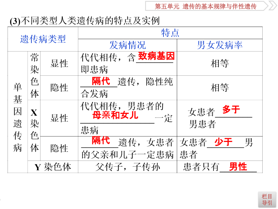 6 第18讲　人类遗传病_第4页