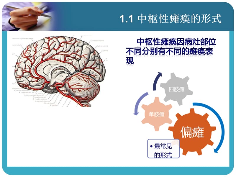 偏瘫的评定-文档资料_第3页