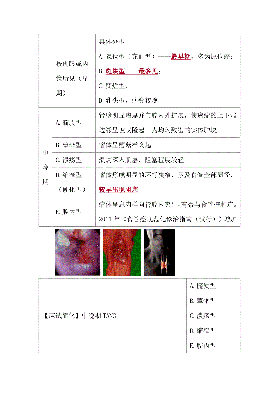 2017年临床助理医师资格考试辅导课件《消化系统》食管癌讲义_第3页