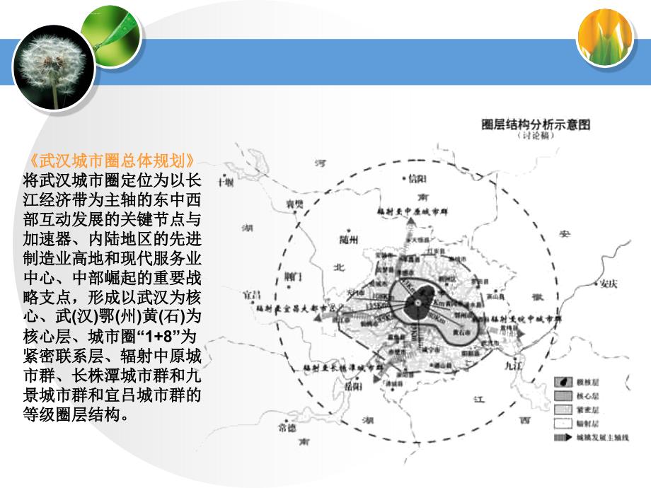 武汉城市圈经济发展的困局与思索课件_第4页