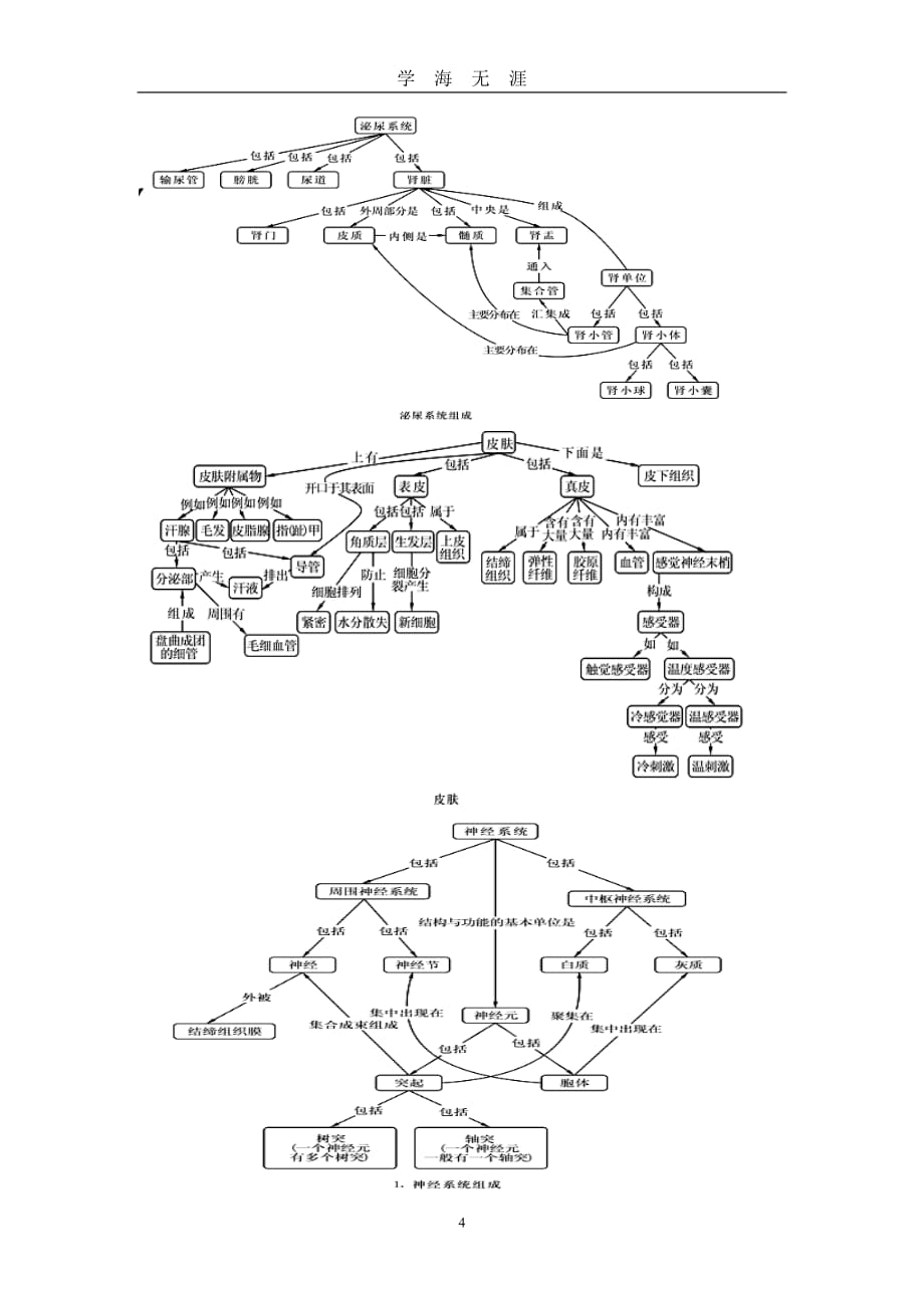 北师大生物七年级下册概念图(清晰版)（2020年九月整理）.doc_第4页