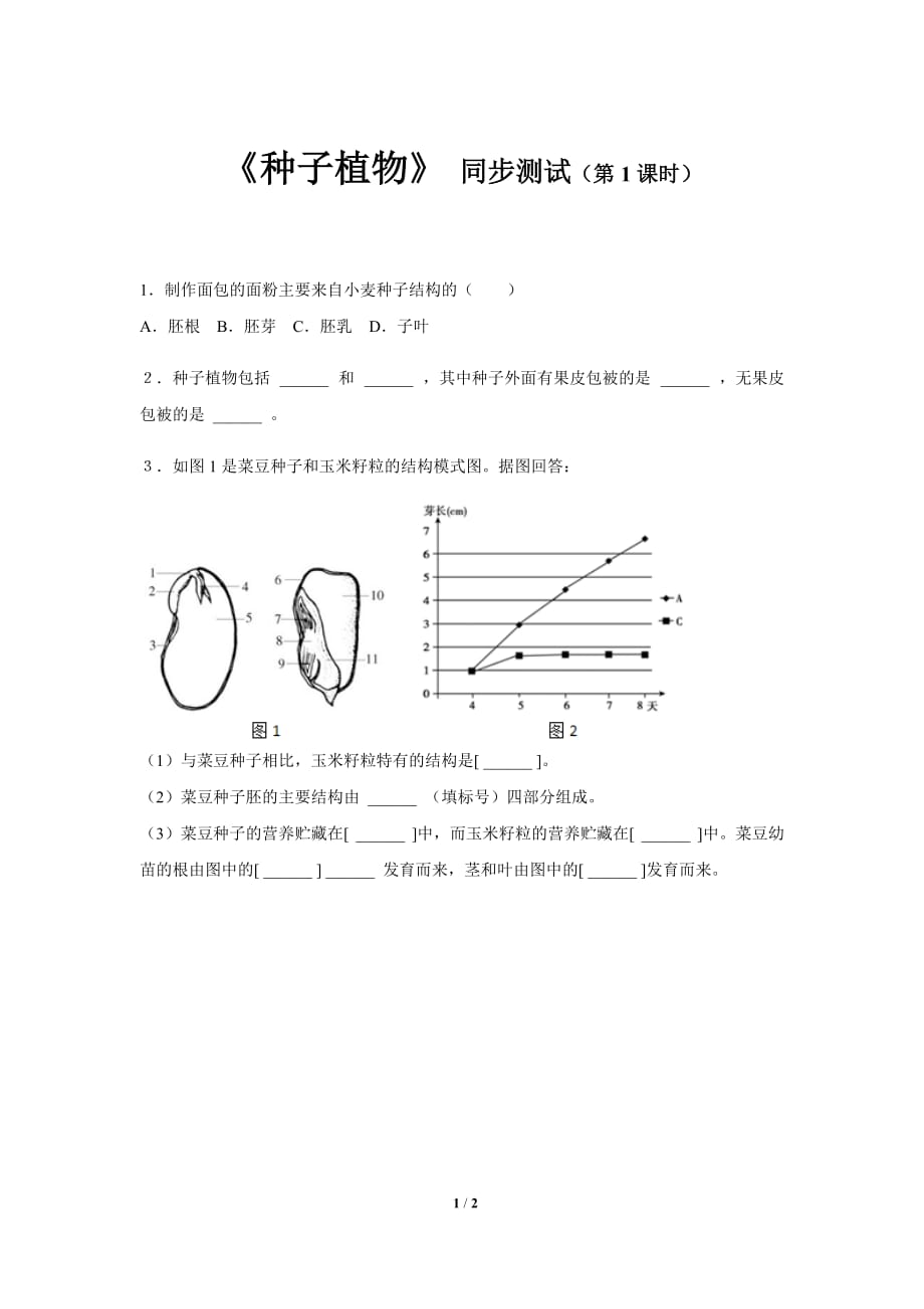 《种子植物》（第1课时）同步测试卷【初中生物人教版七年级上册】_第1页