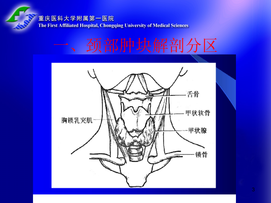 颈部肿块的诊断和鉴别诊断-文档资料_第3页