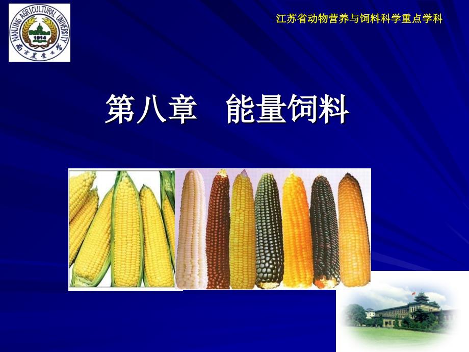 江苏省动物营养与饲料科学重点学科课件_第2页