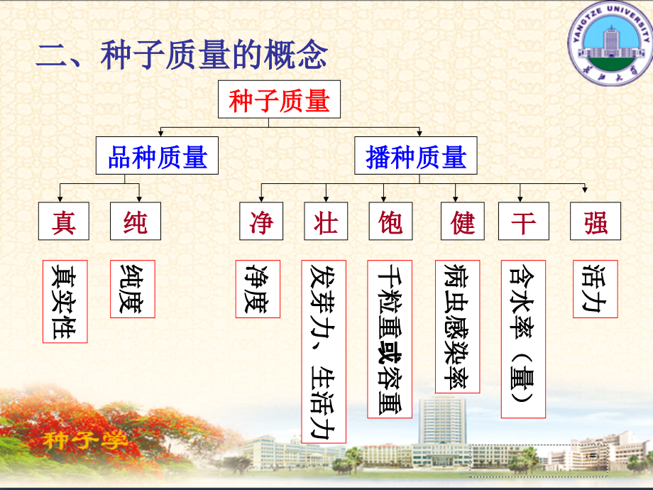 11种子质量检验原理和技术精编版_第4页