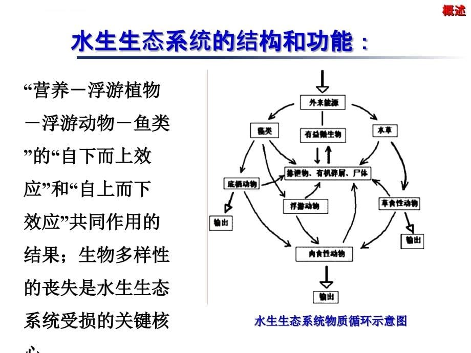 污染水环境修复技术课件_第5页