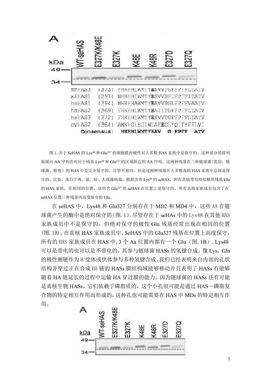 济南大学毕业设计(论文)外文资料翻译参考格式(理工科类)2012.doc_第5页