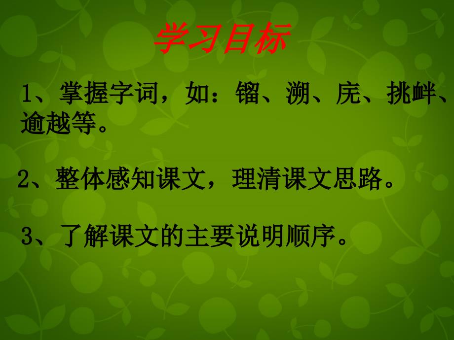 江苏省苏州市高新区第三中学校七年级语文下册 11《人民英雄永垂不朽》课件 (新版)苏教版_第2页