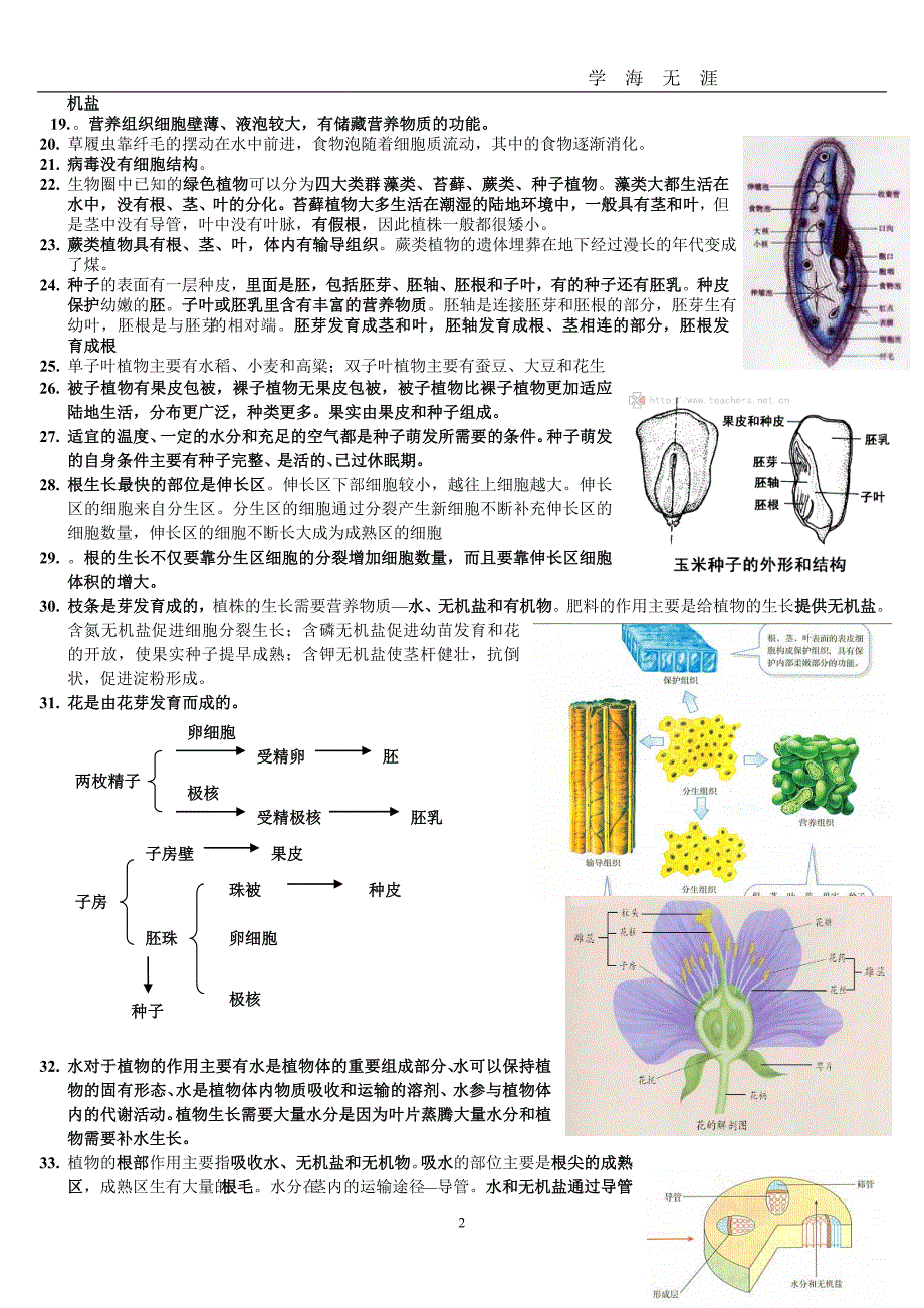 初中生物总复习提纲{带彩图}新人教版（2020年九月整理）.doc_第2页