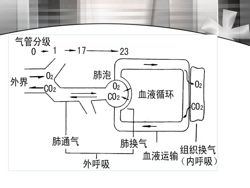 呼吸困难护理观察要点与处置-文档资料_第4页