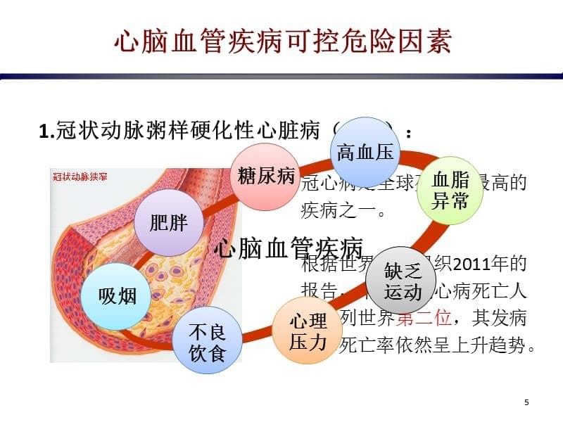 心脑血管疾病的预防-文档资料_第5页