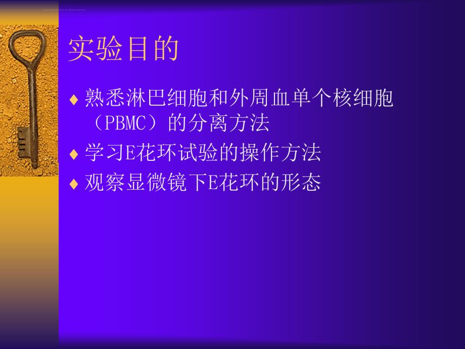 淋巴细胞分离与E玫瑰花环形成实验课件_第2页