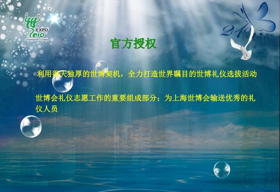 {商务礼仪}某某某某市世博会某市欧美礼仪人员选拔活动_第5页