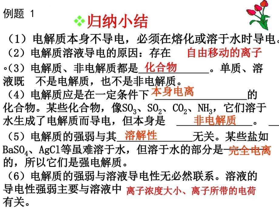 2014高三一轮复习《离子反应》课件（新人教版）_第5页