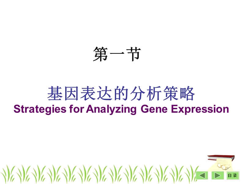 26 第二十六章 基因表达及功能分析基本策略复习课程_第2页
