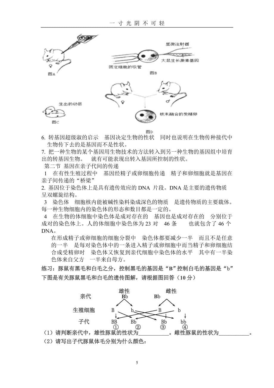 最新人教版八年级生物下册知识点总结（2020年8月）.doc_第5页