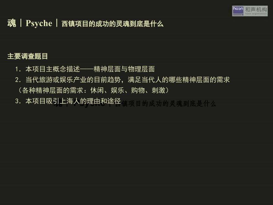 {项目管理项目报告}和声机构证大集团某市西镇综合项目概念构想95PPT_第4页