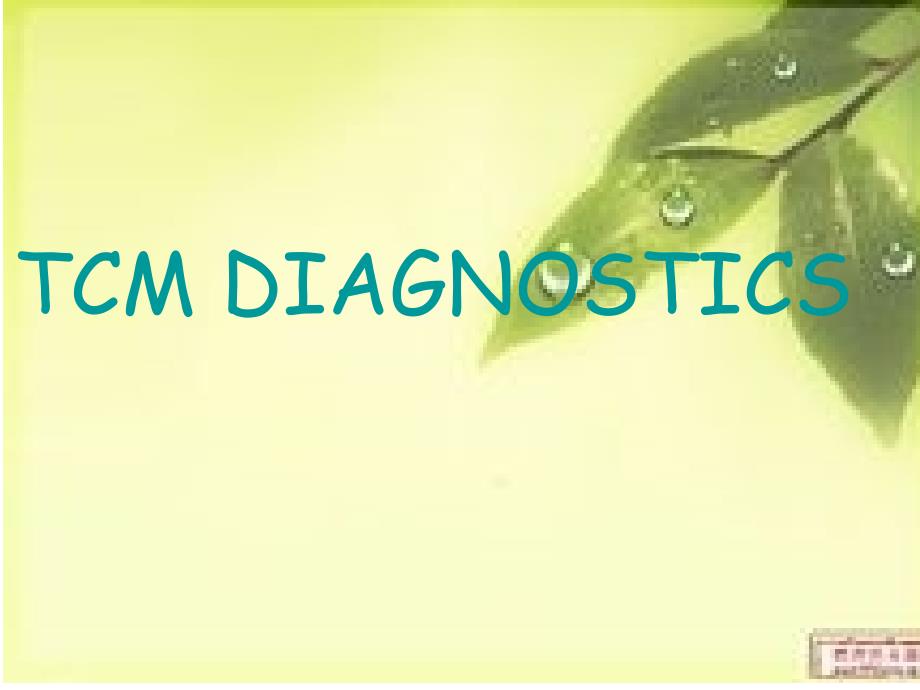 tcm diagnostics教学材料_第1页