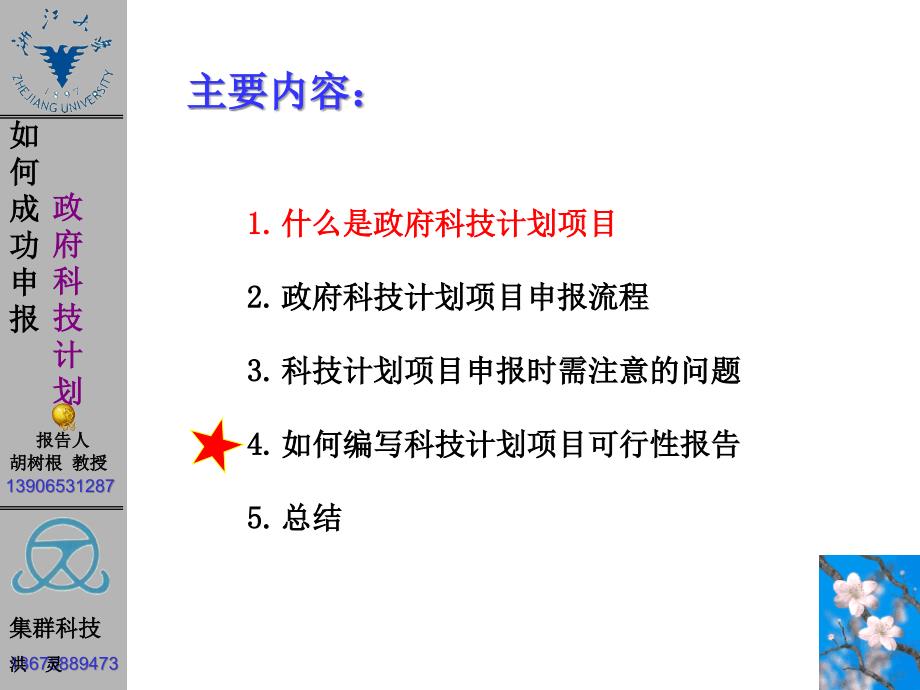 {项目管理项目报告}政府科技项目申报交流_第2页