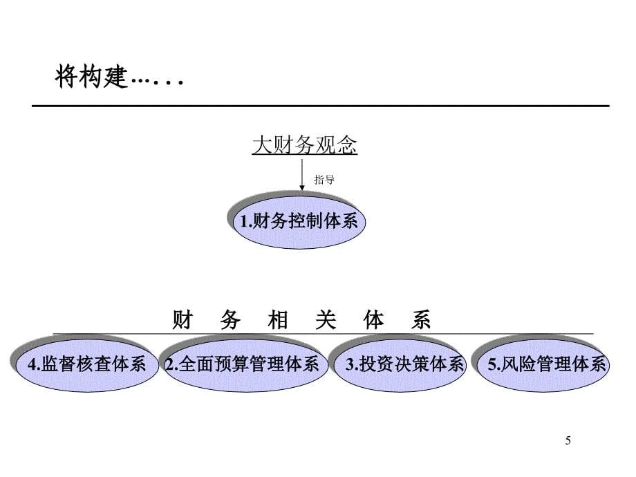 财务管理-重建XX财务管理体系的解决方案-★★★★★资料教程_第5页