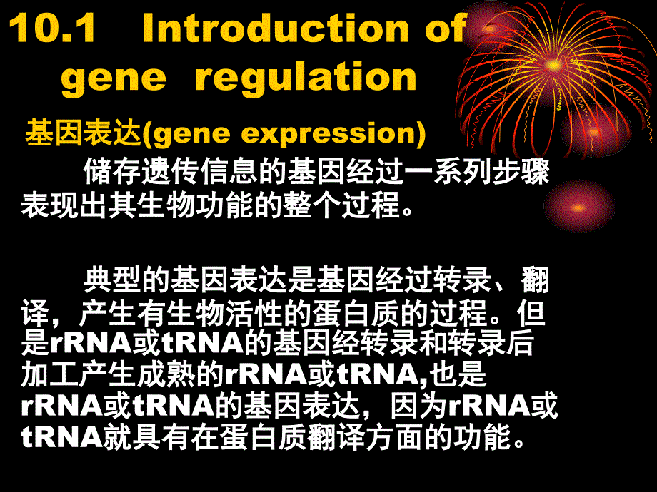 原核生物基因表达调控课件_第4页