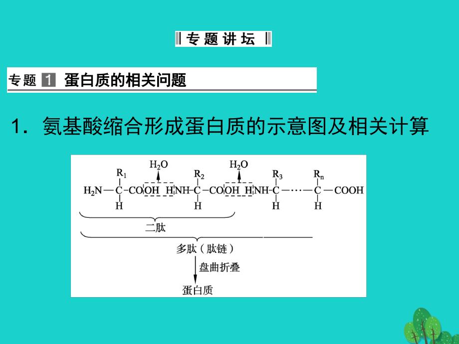 2017年高中生物第二单元细胞的自我保障第一章细胞中的蛋白质章末课件_第2页