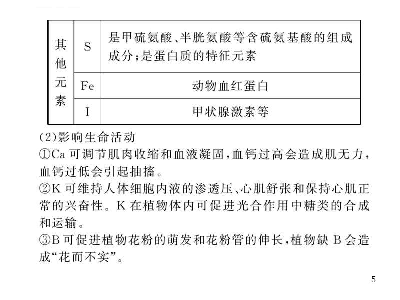 复习用 必修一第二章细胞的化学组成课件_第5页