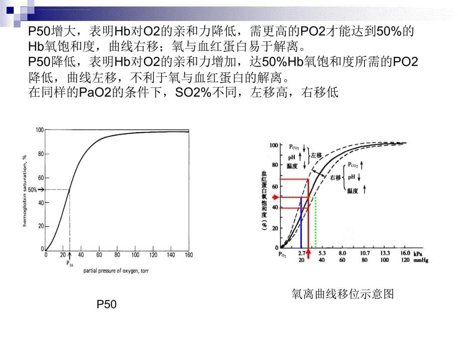 2013血气分析基础与临床 简化版课件_第5页