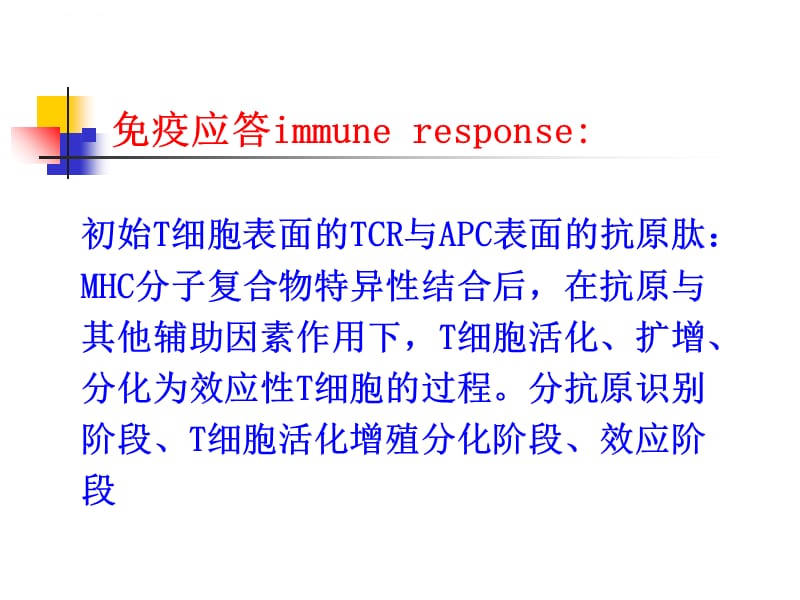 医学免疫学第十二章T细胞介导的免疫应答（4版）新课件_第3页