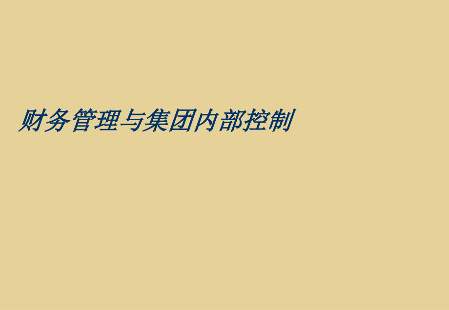 财务管理与集团内部控制培训资料_第1页