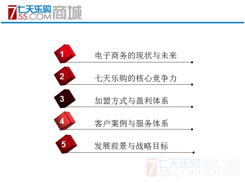 {项目管理项目报告}七天乐购项目说明_第3页