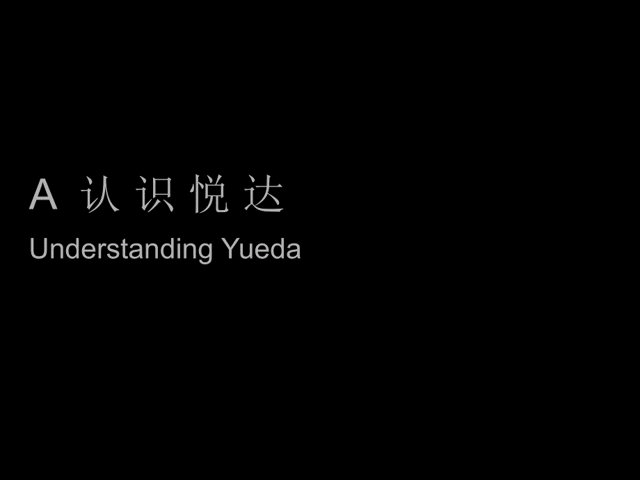 {项目管理项目报告}悦达项目_第3页