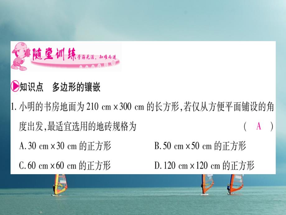 八年级数学下册第19章四边形19.4综合与实践多边形的镶嵌习题课件（新版）沪科版_第3页