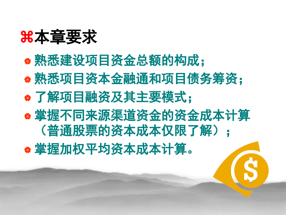 {项目管理项目报告}建设项目资金筹措与资本成本_第2页