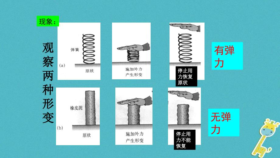 八年级物理下册7.3《弹力、弹簧测力计》课件（新版）教科版_第4页