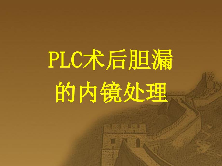 PLC术后胆漏胆管狭窄的内镜处理演示教学_第1页