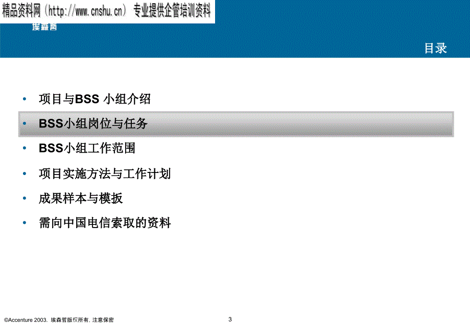 {项目管理项目报告}aci1129某某电信市场营销再造项目_第4页