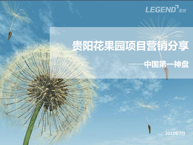 {项目管理项目报告}中国第一神盘：贵阳花果园项目营销分享_第1页