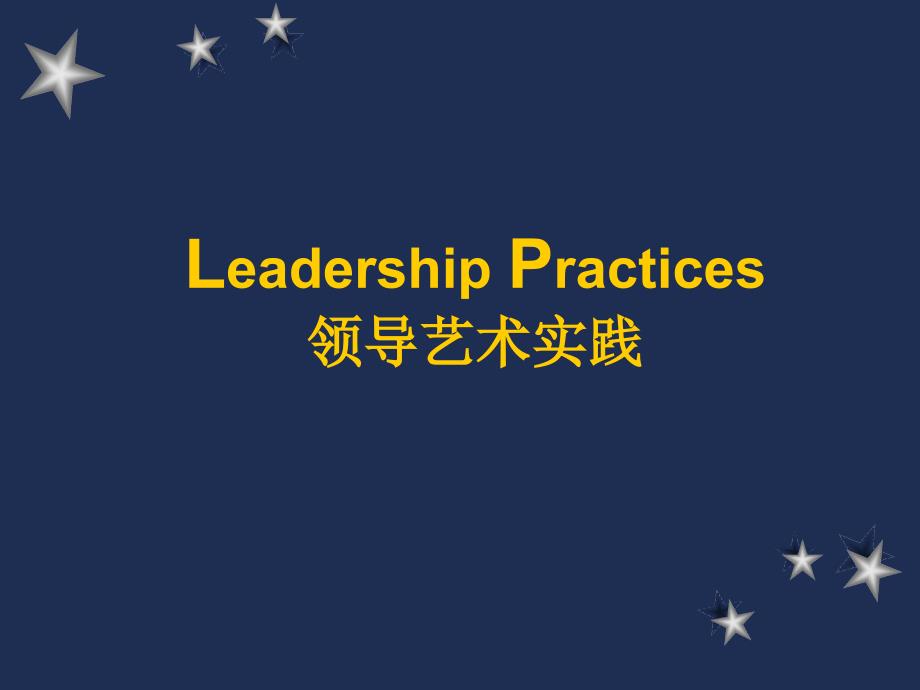 {项目管理项目报告}成功项目经理系列讲义—领导艺术实践_第1页