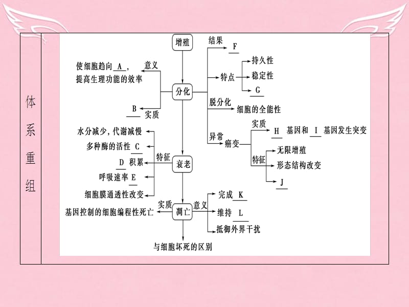 2016版高考生物二轮复习 第1部分 专题3 第2讲 细胞的分化、衰老、凋亡和癌变课件解析_第3页