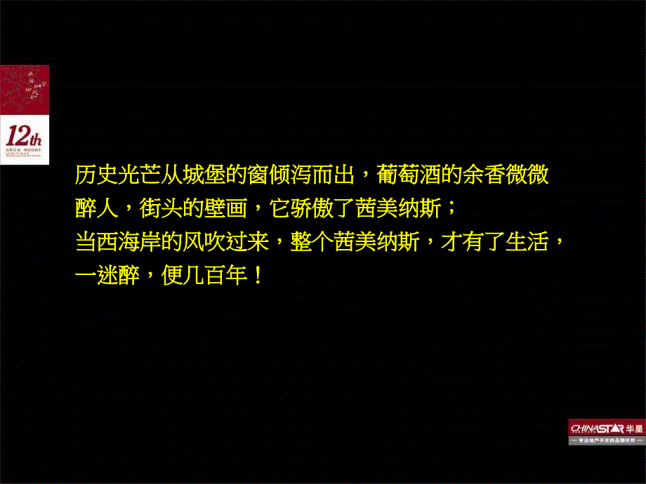 {项目管理项目报告}宁波维科水岸枫情项目品牌定位与推广思路91PPT_第4页