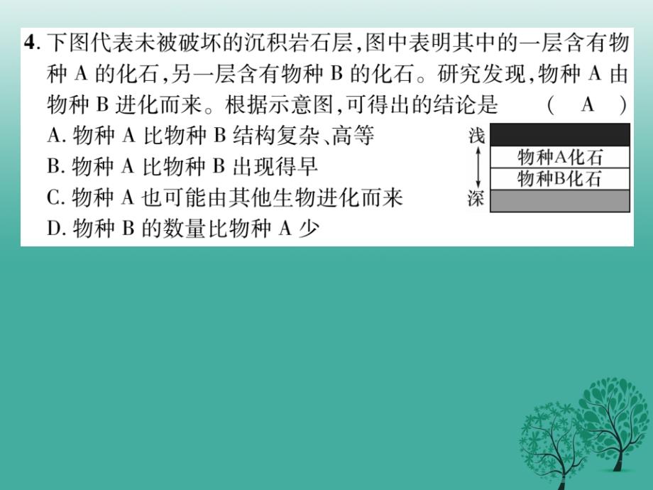 八年级生物下册第七单元第三章生命起源和生物进化达标课件（新版）新人教版_第4页